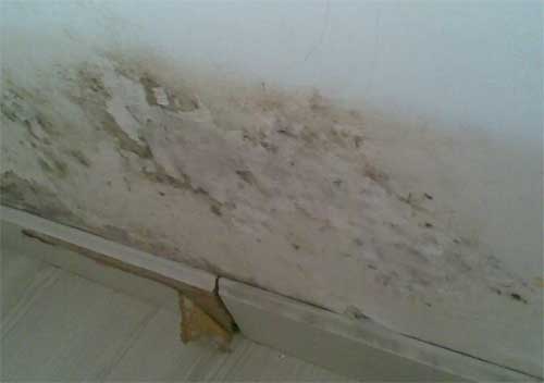 北京天花板漏水检测的注意事项有哪些